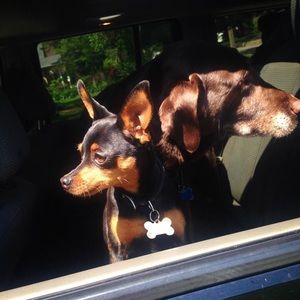 Meet your Posher, Emilee